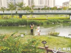 <b>泉州东海魁屿公园：垃圾无人扫 还有人正在园内</b>